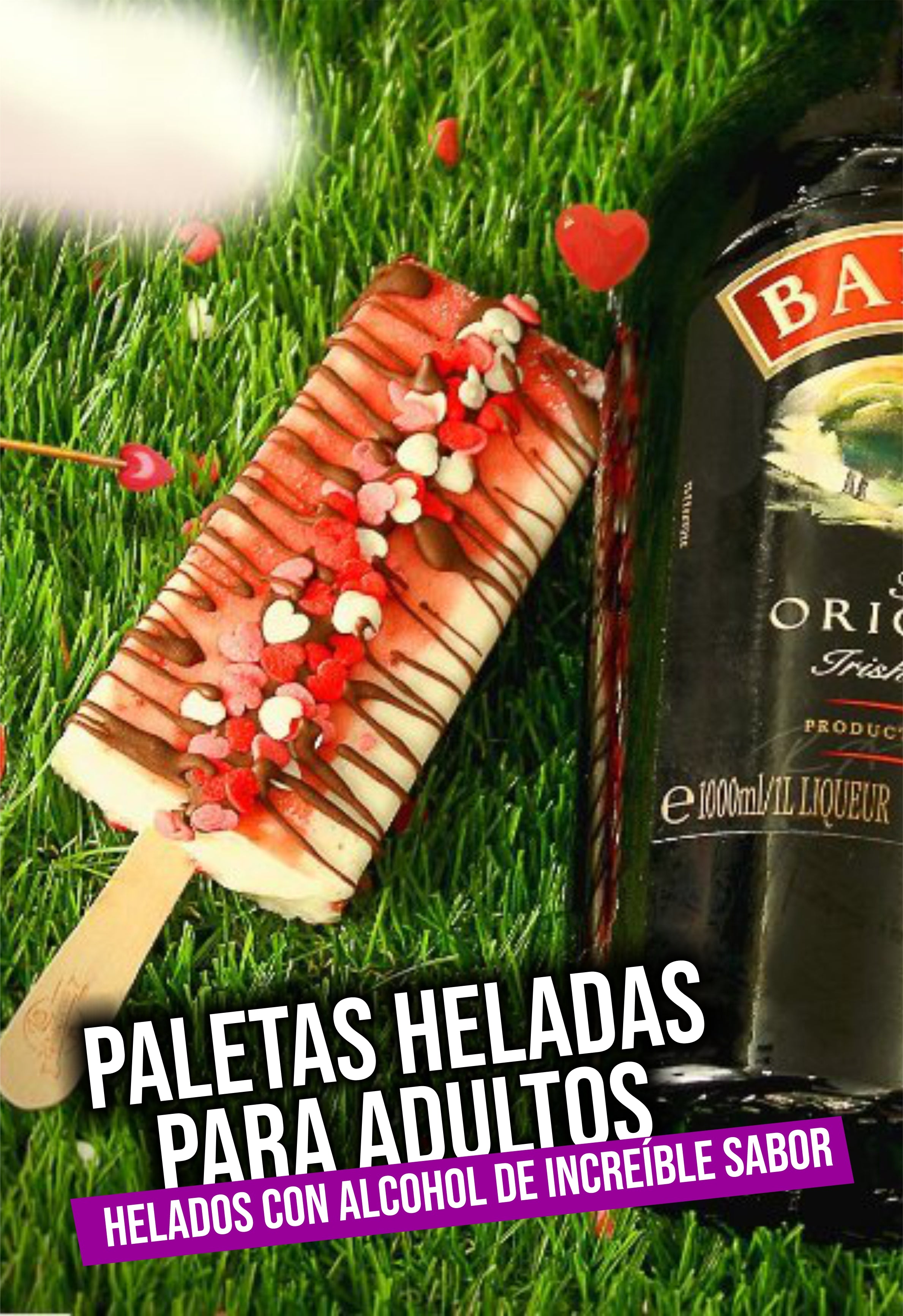 PALETAS ARTESANALES PARA EMPRENDEDORES